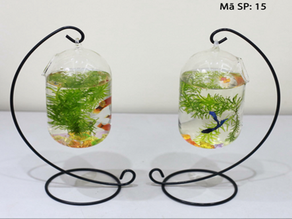 Vật phẩm bể cá mini