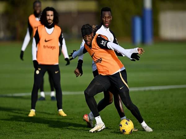 Tin Chelsea 19/12: The Blues chào đón sự trở lại của Madueke
