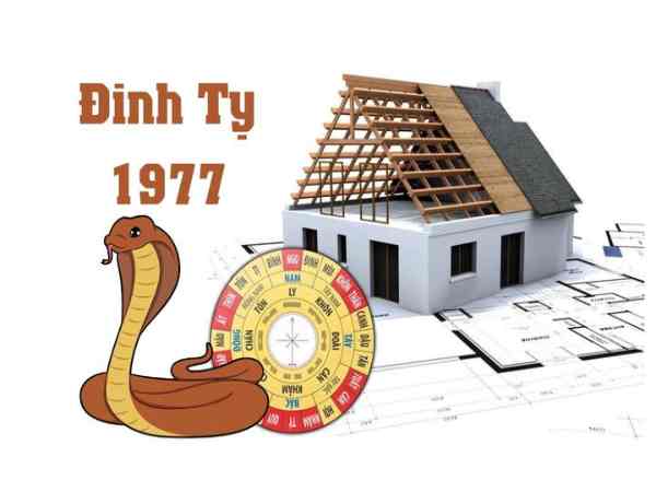 tuổi đinh tỵ 1977 hợp với hướng nào