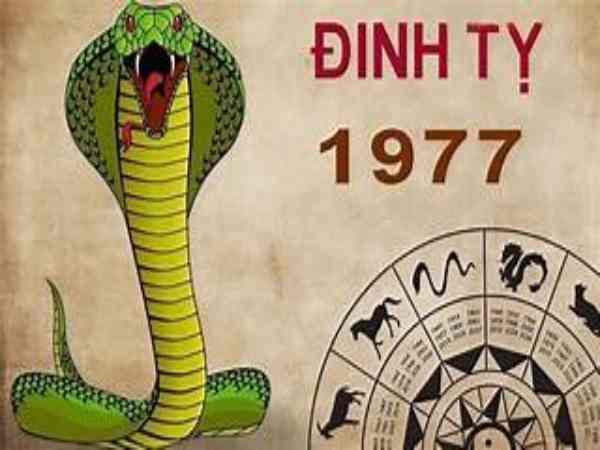 tuổi đinh tỵ 1977 hợp với hướng nào