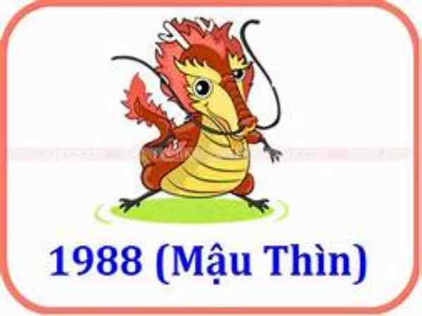 Tổng quan về tuổi 1988 Tổng quan về tuổi 1988