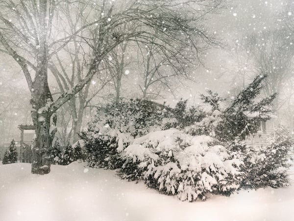 Chiêm bao thấy tuyết rơi dày đặc không nhìn thấy đường