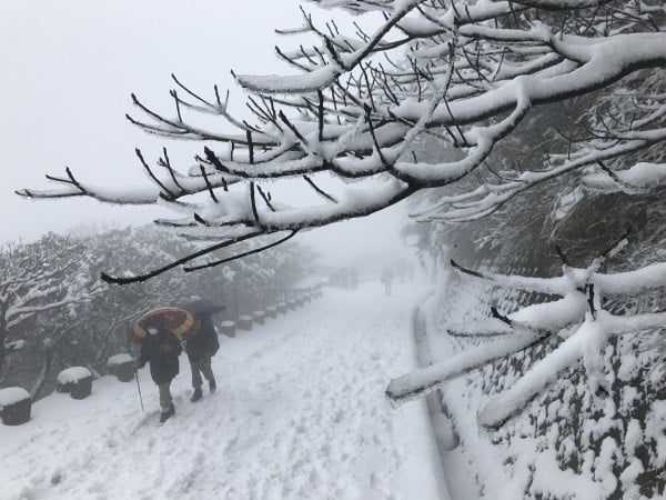 Giải mã thông điệp nằm mơ thấy tuyết rơi là điềm gì?