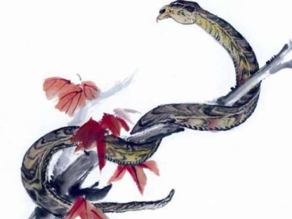 Tổng quan vận trình tuổi Tân Tỵ ngày 26/2 thứ 5
